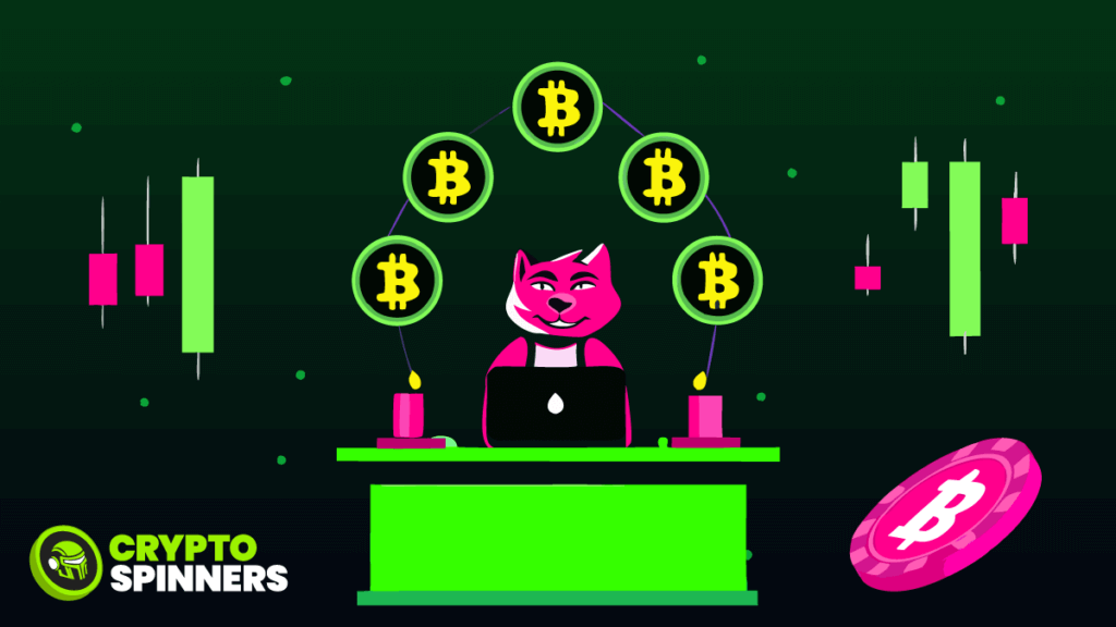 cryptocurrency stats by cryptospinners