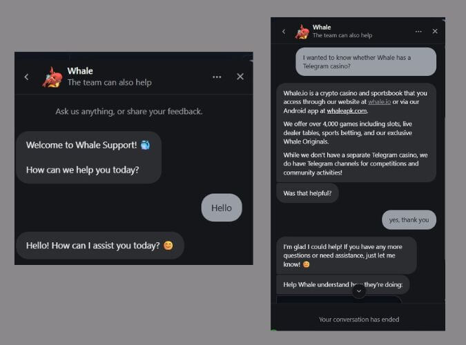 Whale customer support