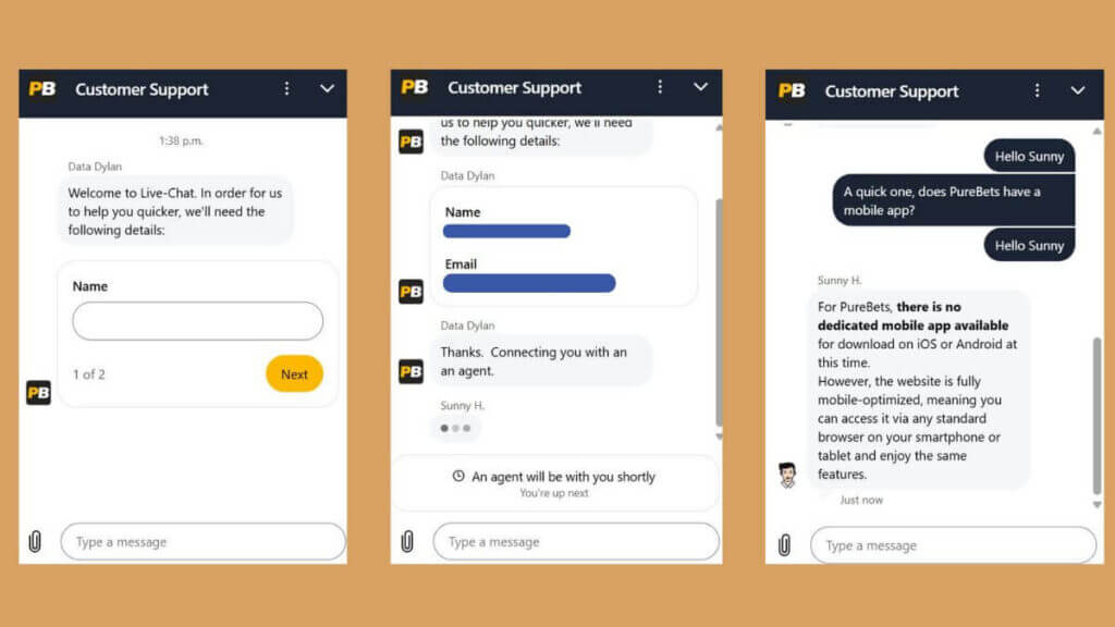 PureBets customer support