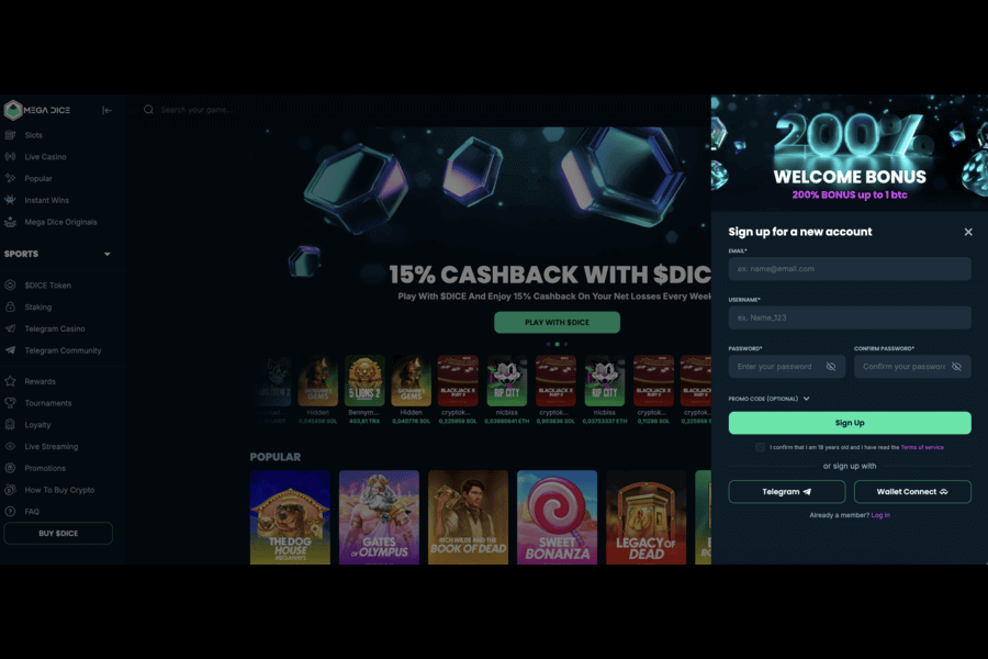 Registration process at mega dice casino review