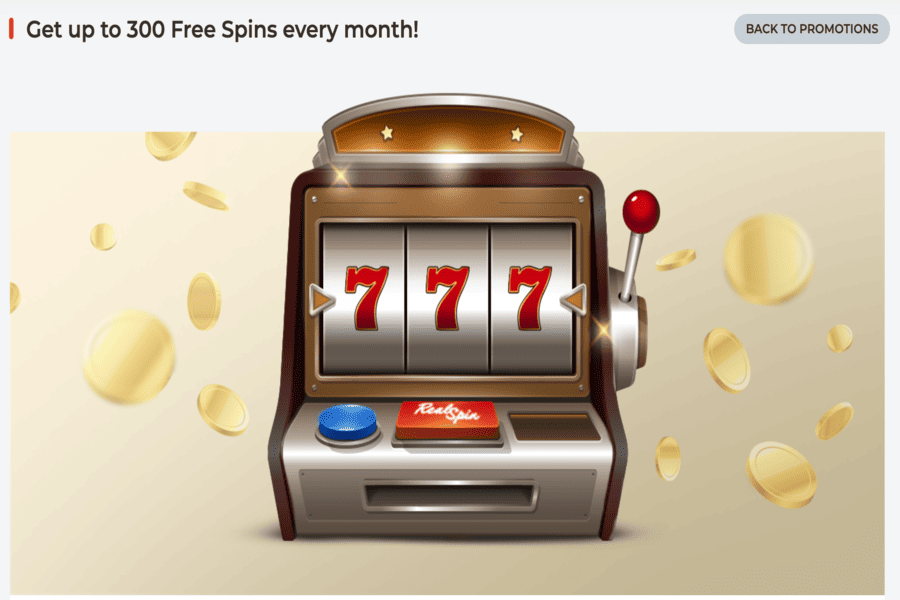 Free spins bonus at RealSpin Casino
