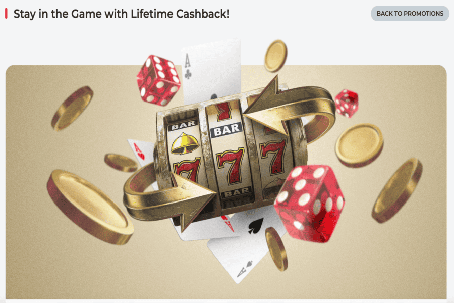 Lifetime cashback at RealSpin Casino