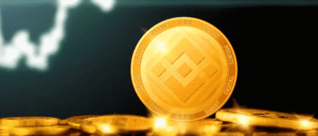 binance coin