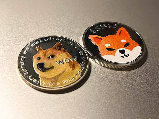 Dogecoin and Shibu Inu cryptos