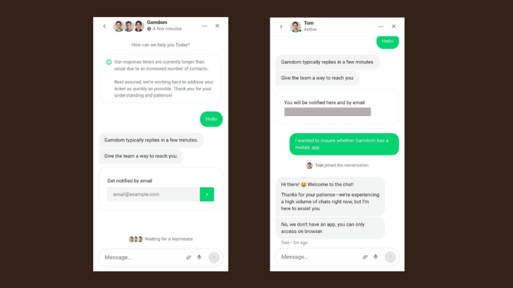 Screenshots from our chat with Gamdom customer support