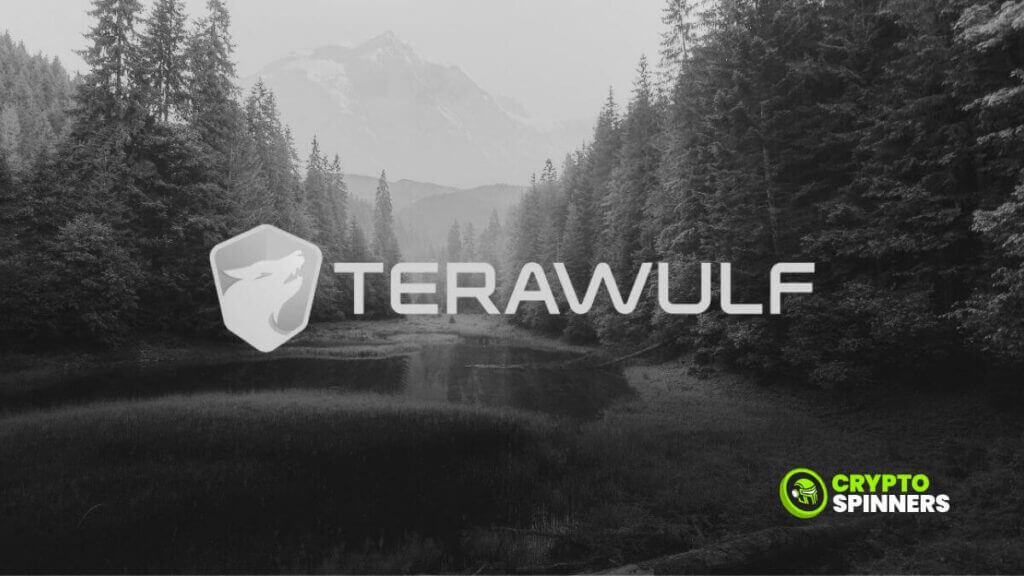 terawulf latest investments